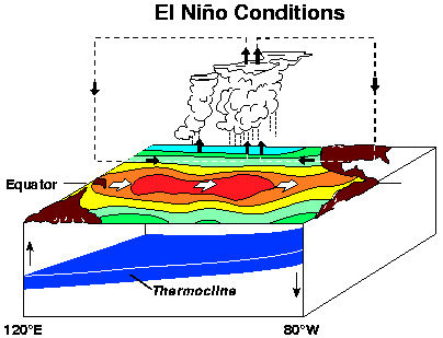El Nino ocean-atmosphere mechanism