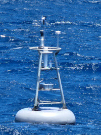 TAO buoy observations
